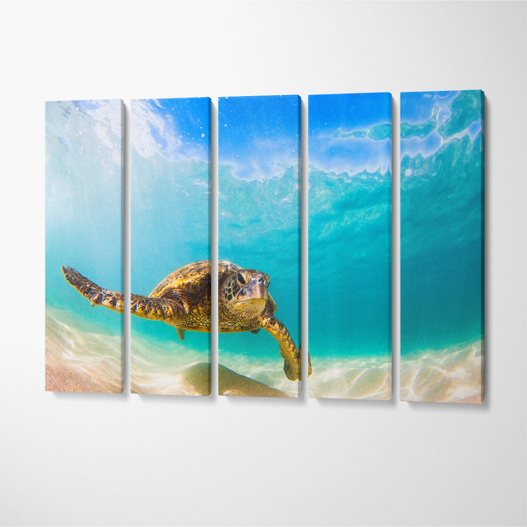 Hawaiian Green Sea Turtle Pacific Ocean Hawaii Canvas Print ArtLexy 5 Panels 36"x24" inches 