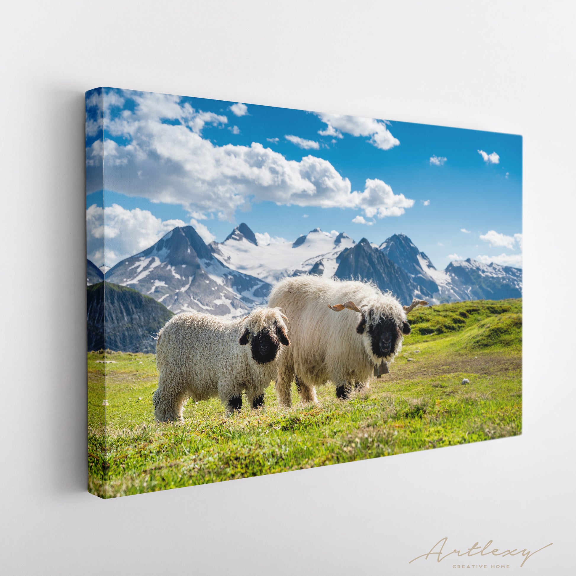 Valais Blacknose Sheep Valais Alps Canvas Print ArtLexy   