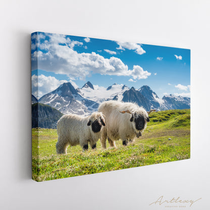 Valais Blacknose Sheep Valais Alps Canvas Print ArtLexy   