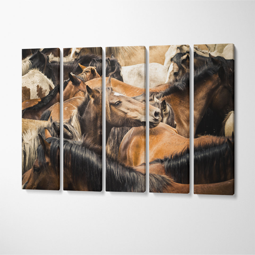 Herd of Amazing Horses Canvas Print ArtLexy 5 Panels 36"x24" inches 