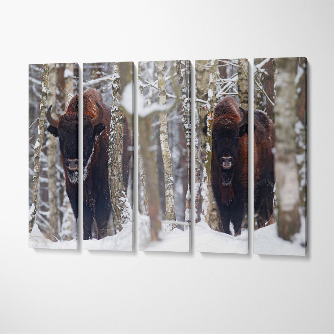 European Bison in Winter Forest Canvas Print ArtLexy 5 Panels 36"x24" inches 
