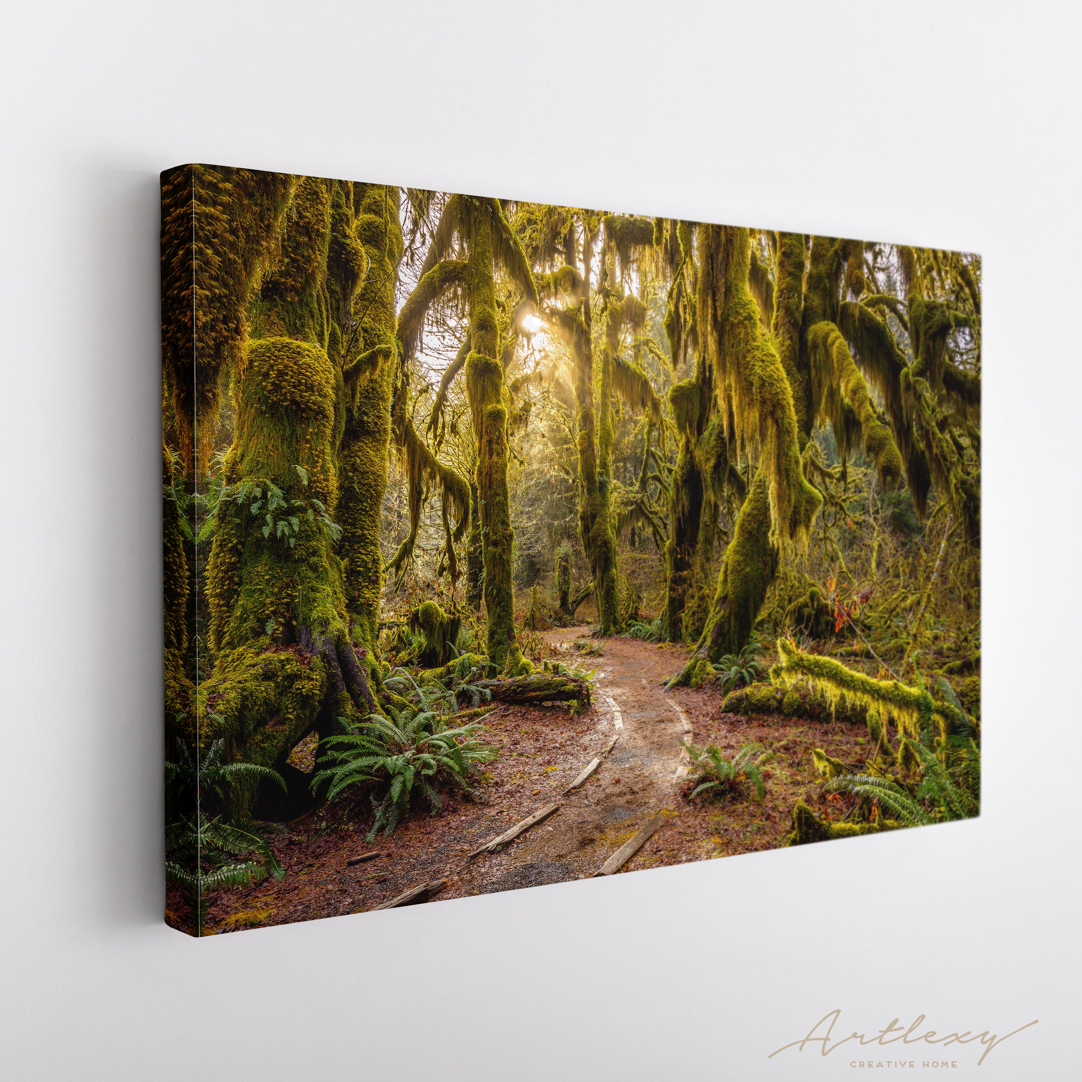 Hoh Rainforest Canvas Print ArtLexy   