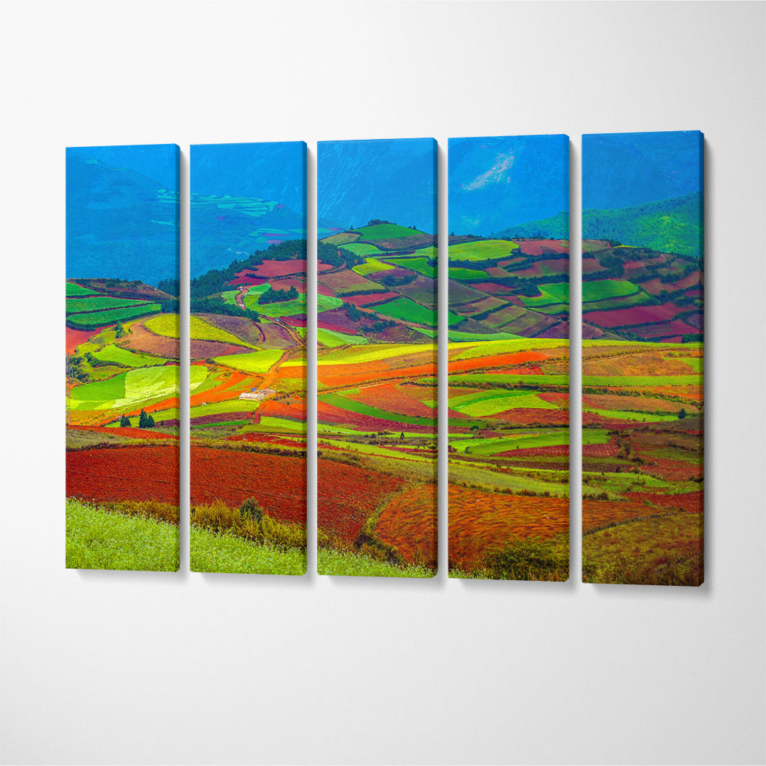 Dongchuan Red Land Canvas Print ArtLexy 5 Panels 36"x24" inches 
