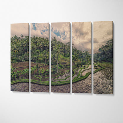 Tegallalang Rice Terrace Bali Indonesia Canvas Print ArtLexy 5 Panels 36"x24" inches 