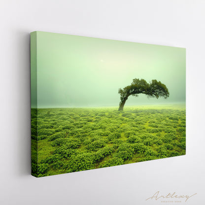 Beautiful Landscape with Lonely Tree Kaas Plateau India Canvas Print ArtLexy   