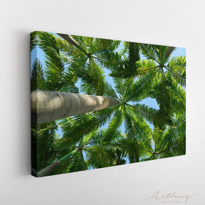 Palm Trees Canvas Print ArtLexy   