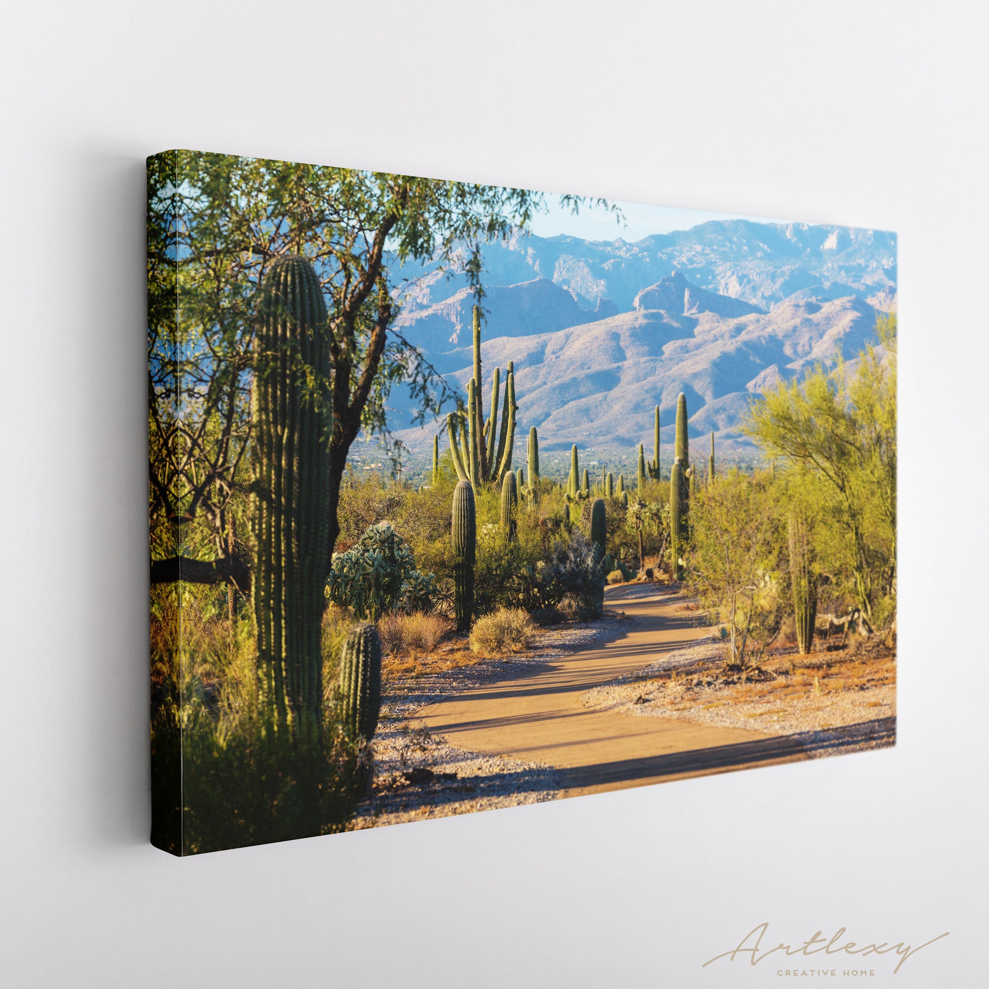 Saguaro National Park Arizona USA Canvas Print ArtLexy   