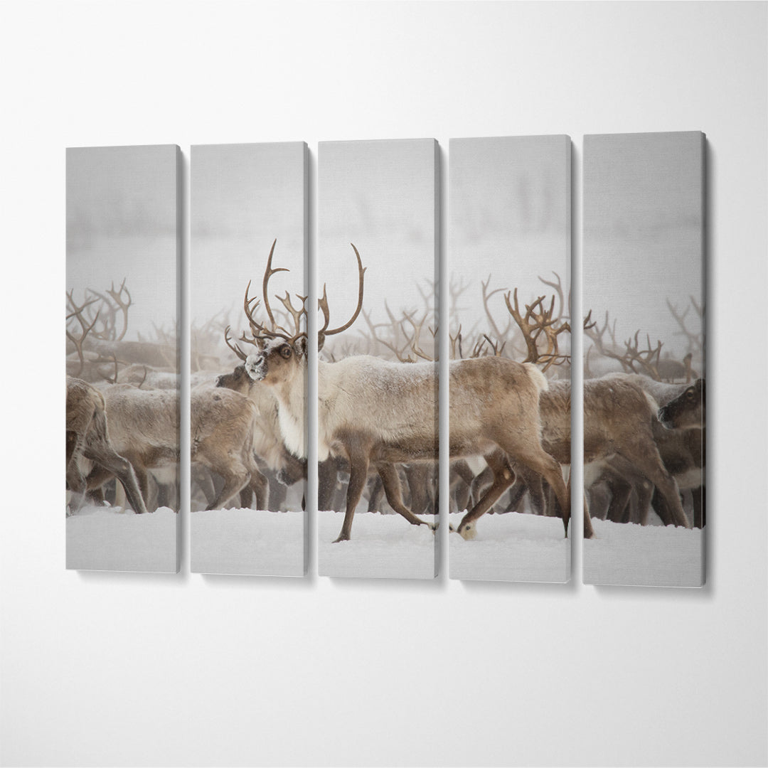 Herd of Reindeer Canvas Print ArtLexy   