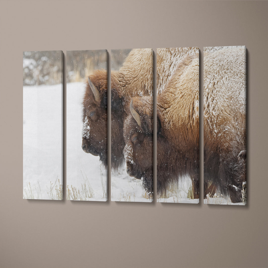 Bison in Winter Yellowstone National Park Wyoming Canvas Print ArtLexy 5 Panels 36"x24" inches 