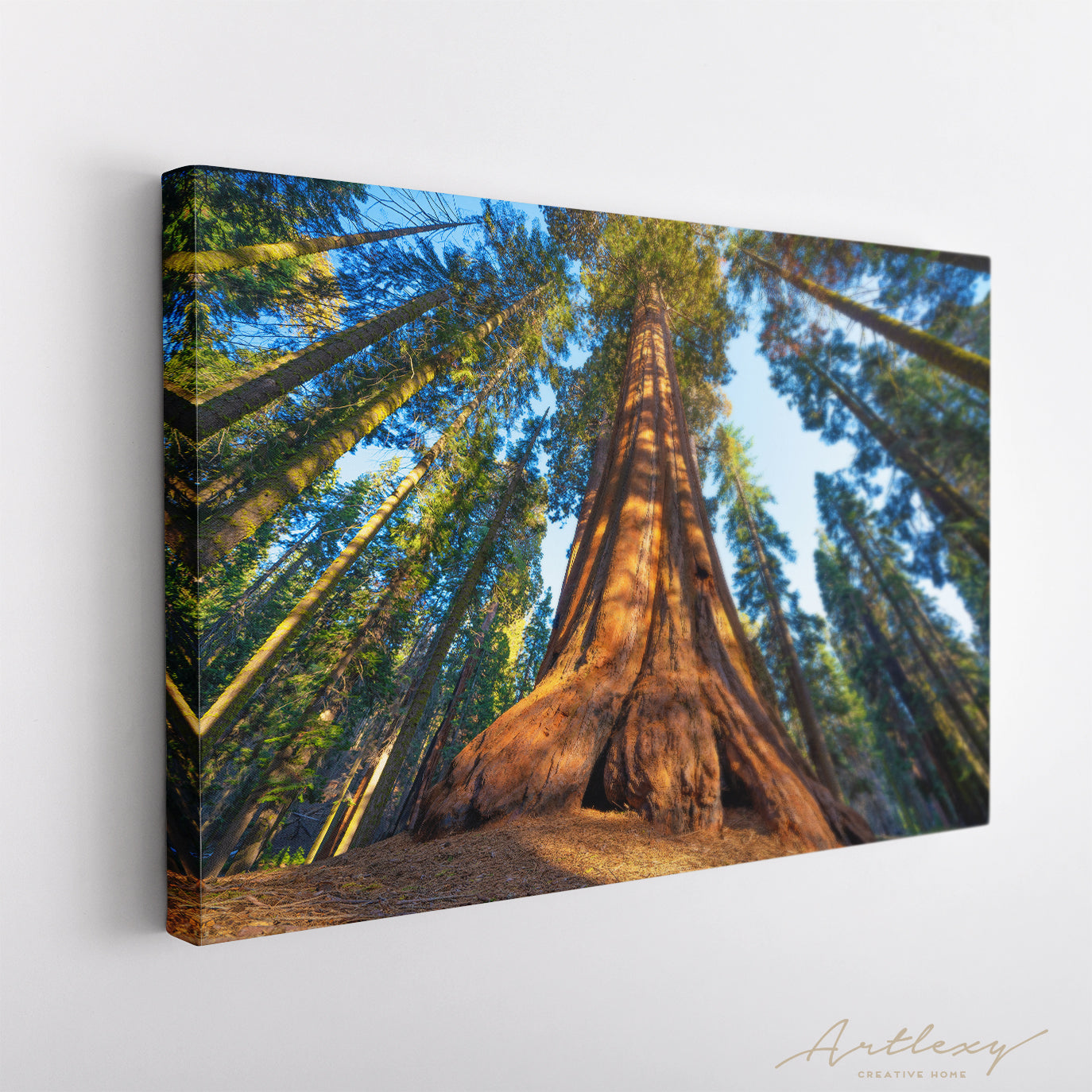 Giant Sequoia Trees in Sequoia National Park USA Canvas Print ArtLexy   