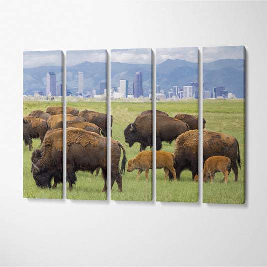 Buffalo Herd near Denver Canvas Print ArtLexy 5 Panels 36"x24" inches 