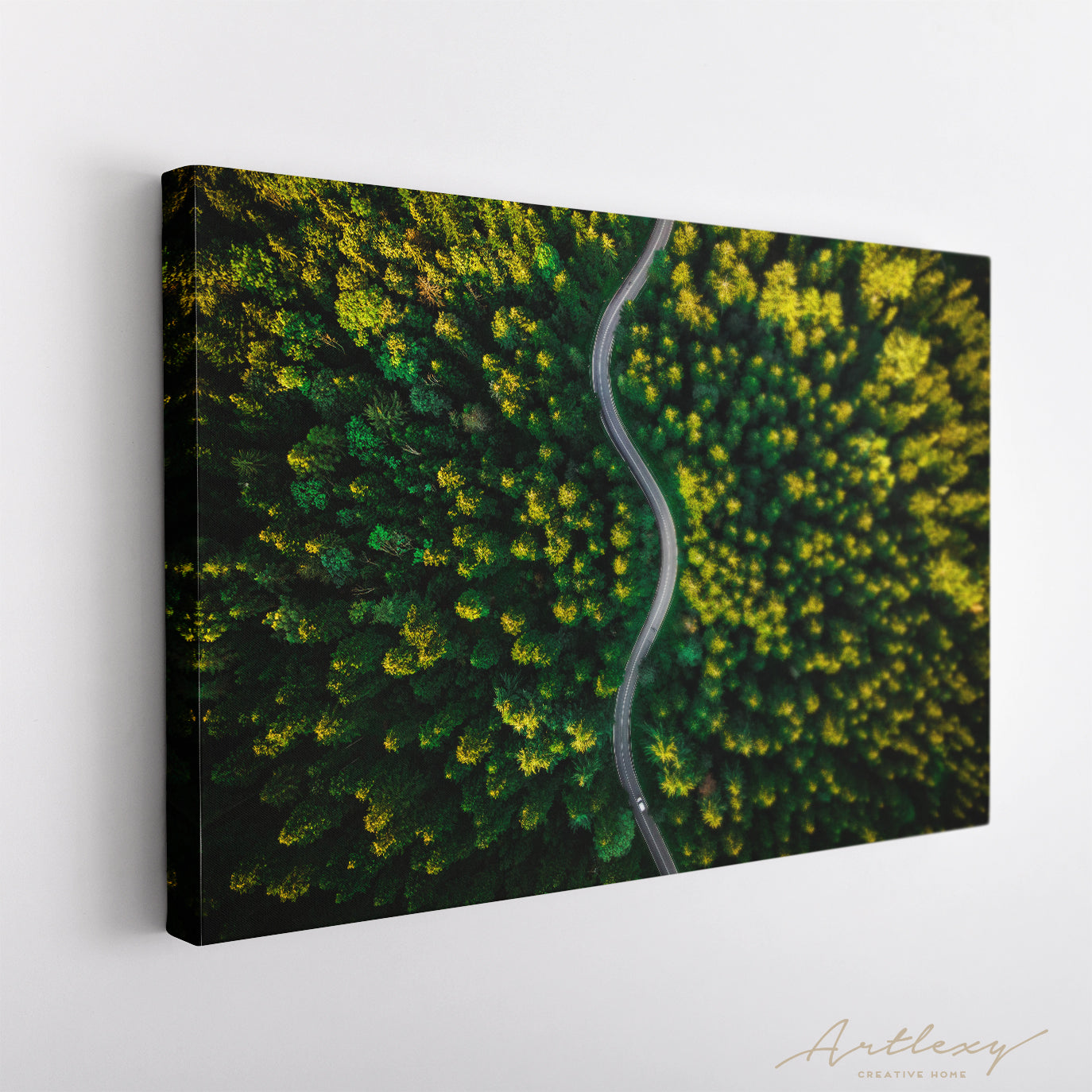 Curvy Road in Pine Forest Canvas Print ArtLexy   
