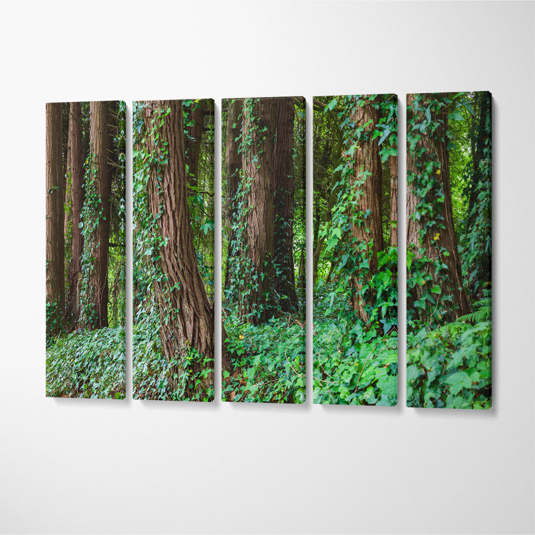 Big Trees in Portugal Forest Canvas Print ArtLexy 5 Panels 36"x24" inches 