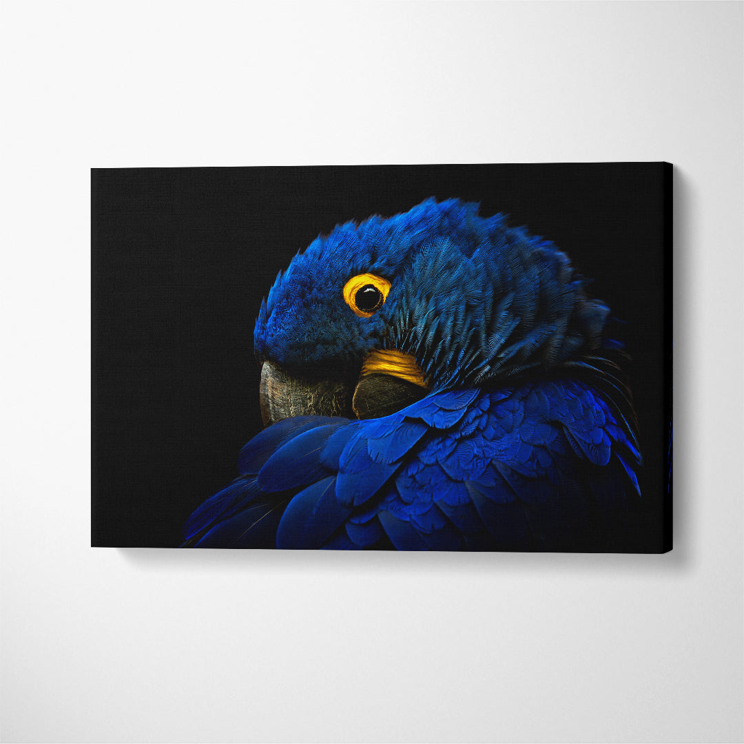 Hyacinth Macaw Portrait Canvas Print ArtLexy 1 Panel 24"x16" inches 