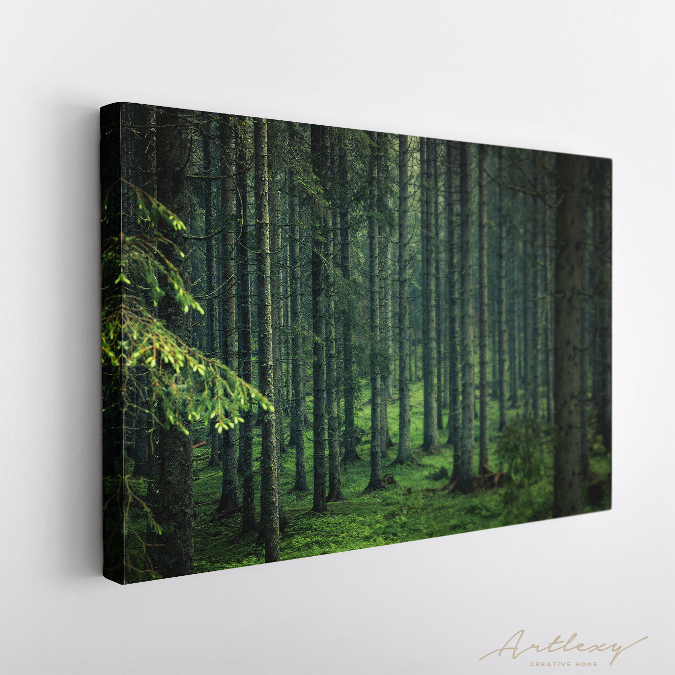 Beautiful Moody Forest in Slovenia Canvas Print ArtLexy   