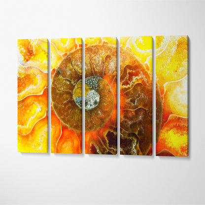 Cephalopod Fossil Canvas Print ArtLexy 5 Panels 36"x24" inches 