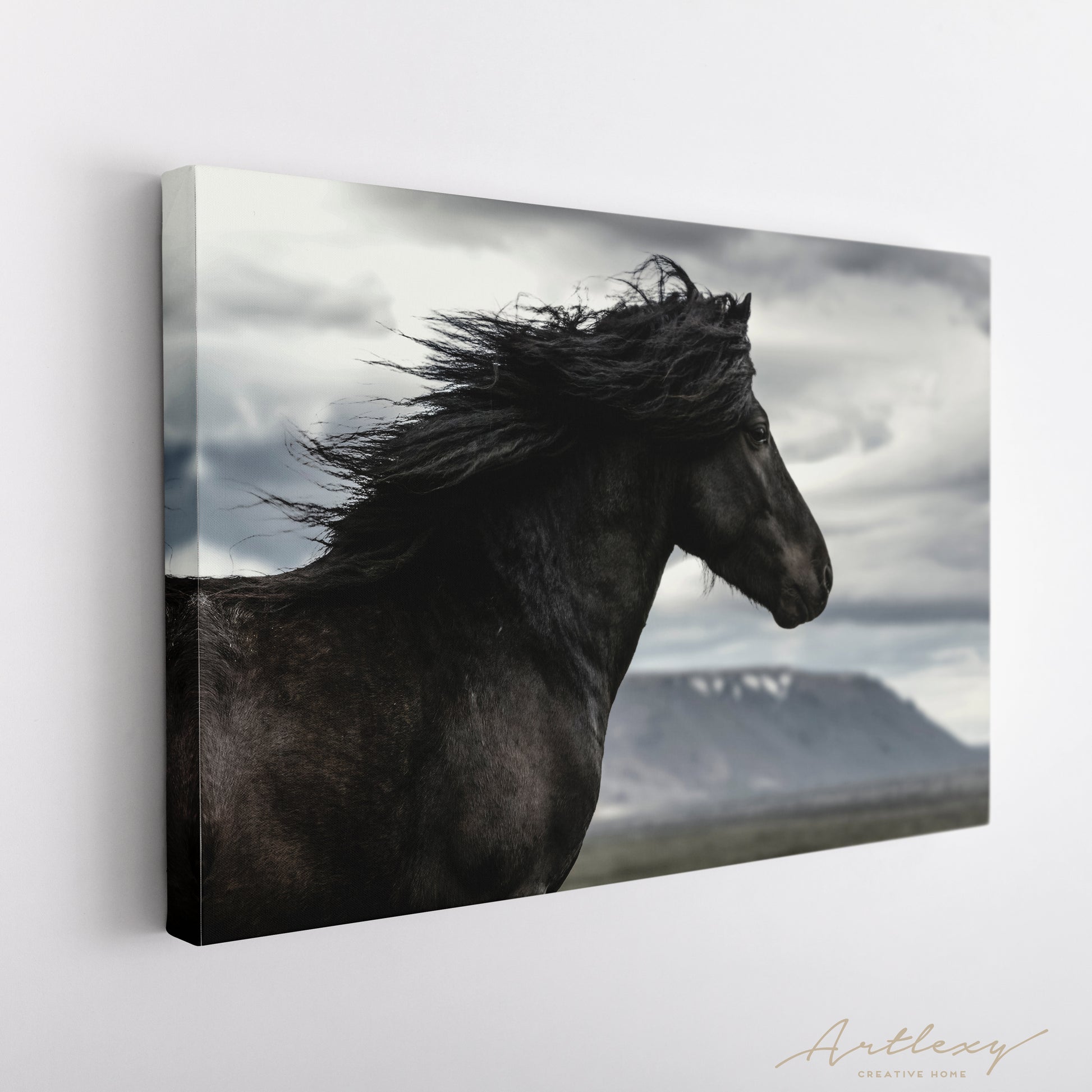 Beautiful Black Wild Horse Canvas Print ArtLexy   