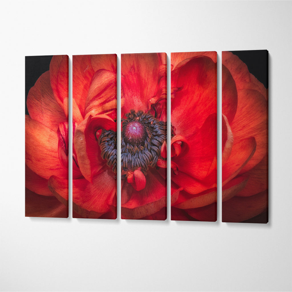 Red Buttercup Flower Canvas Print ArtLexy 5 Panels 36"x24" inches 