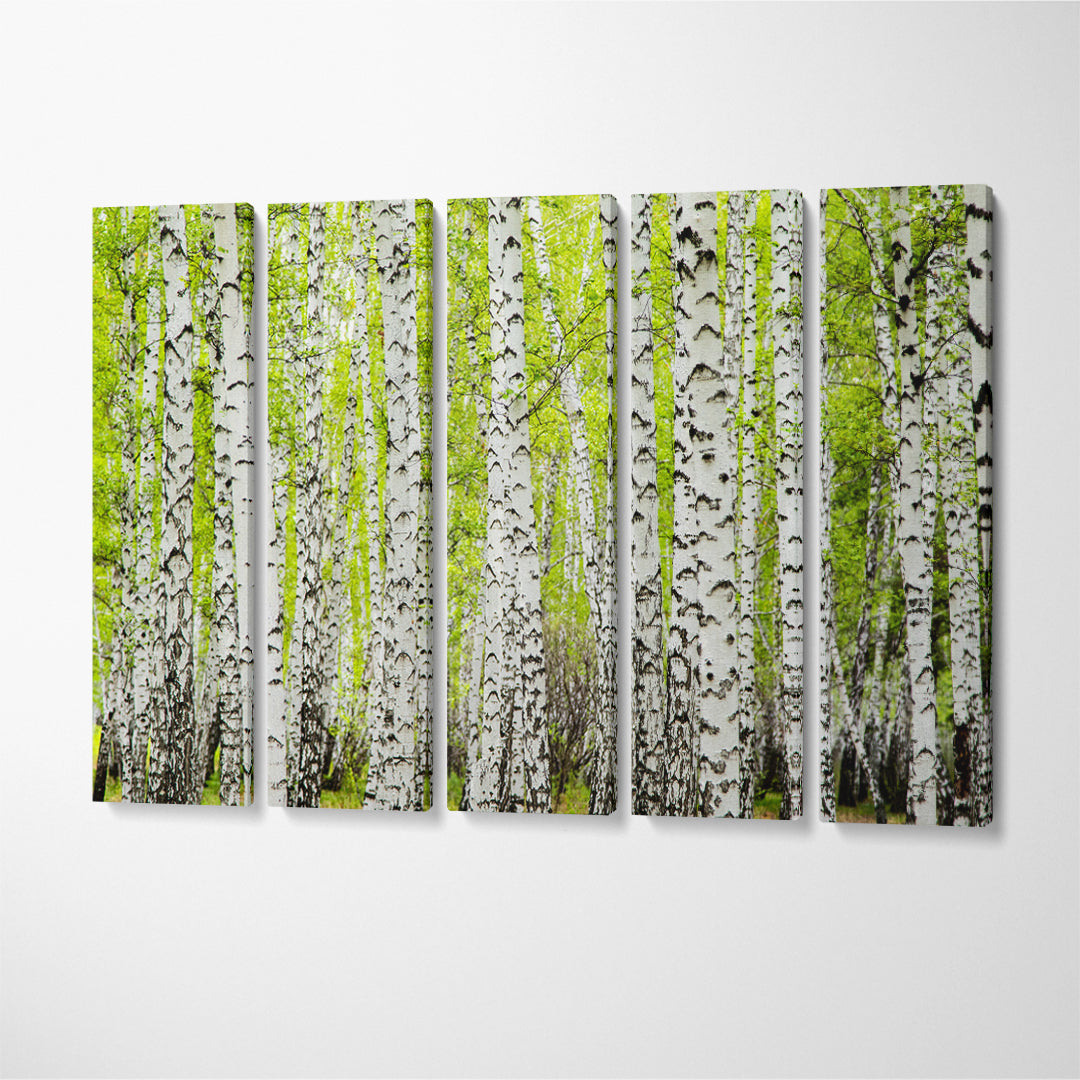 Amazing Birch Forest Trees Canvas Print ArtLexy 5 Panels 36"x24" inches 