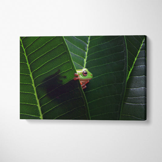 Frog on Green Leaves Canvas Print ArtLexy 1 Panel 24"x16" inches 
