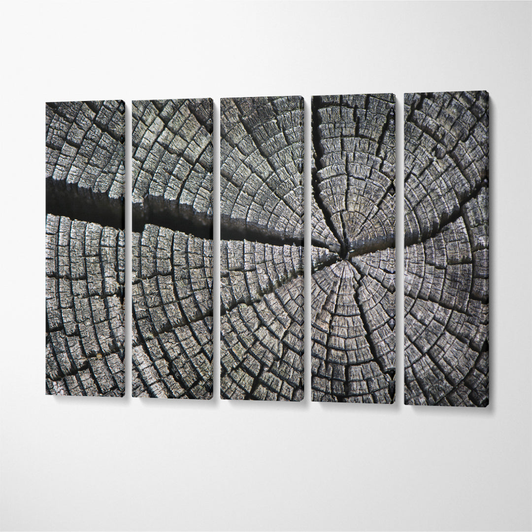 Old Cracked Log Canvas Print ArtLexy 5 Panels 36"x24" inches 