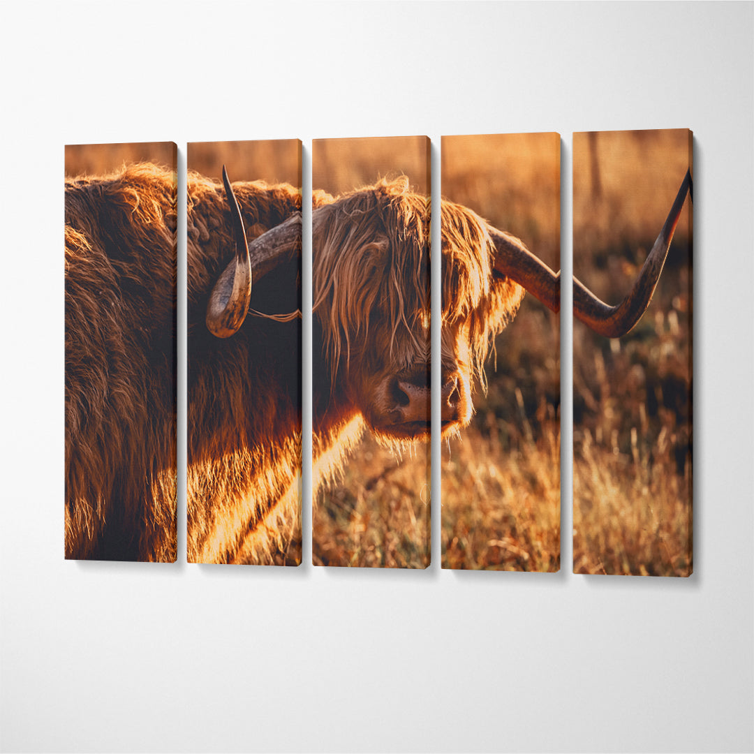Highland Cow Canvas Print ArtLexy 5 Panels 36"x24" inches 