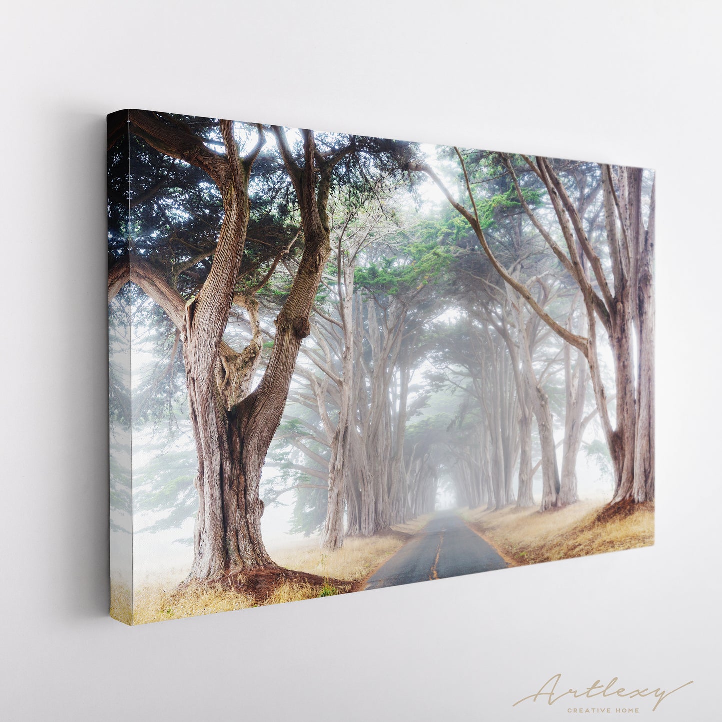 Misty Tree Tunnel Canvas Print ArtLexy   
