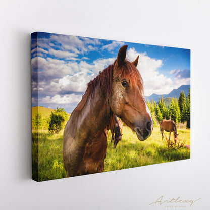 Horses Graze in Carpathian Mountains Ukraine Canvas Print ArtLexy   