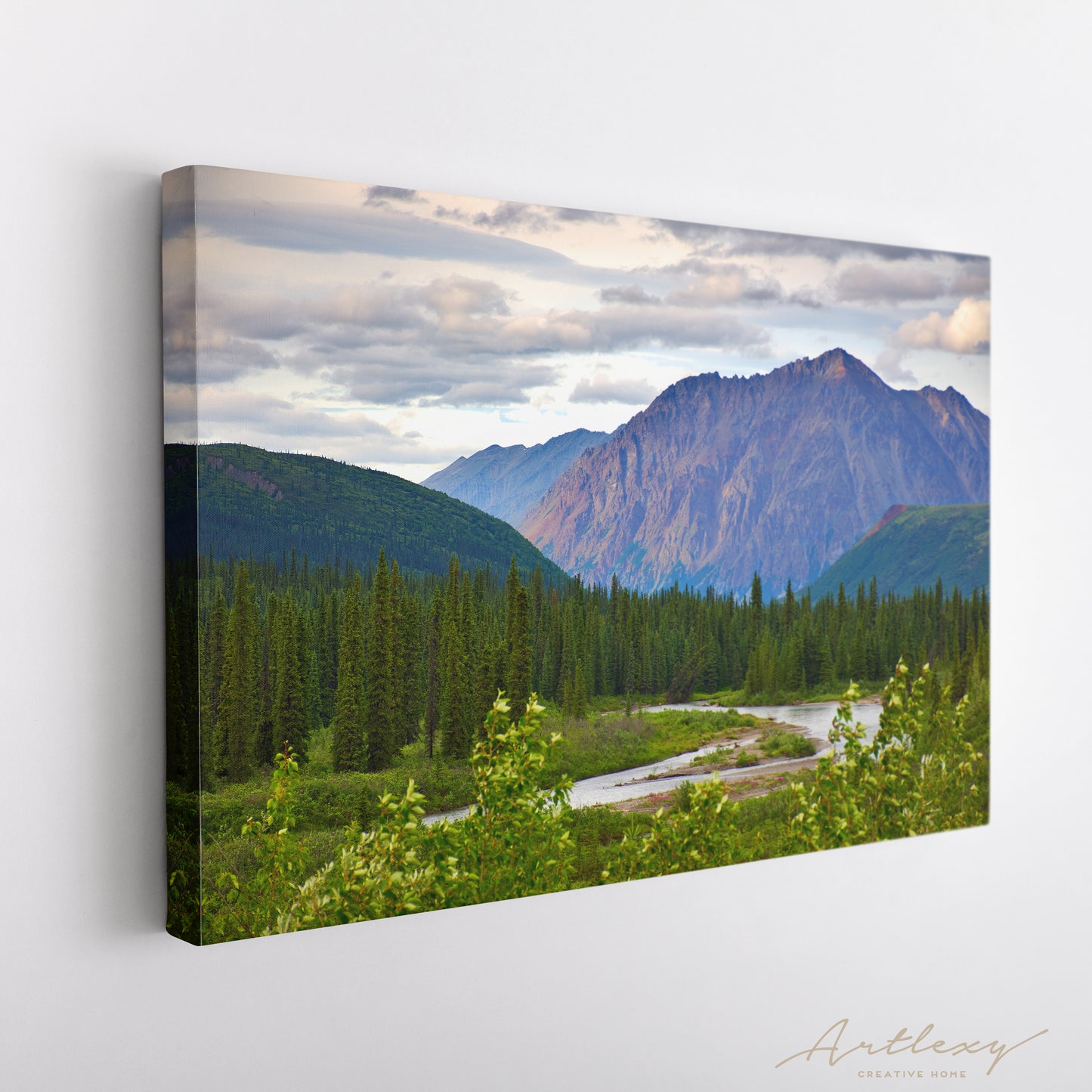 Denali National Park Nature Landscape Alaska Canvas Print ArtLexy   