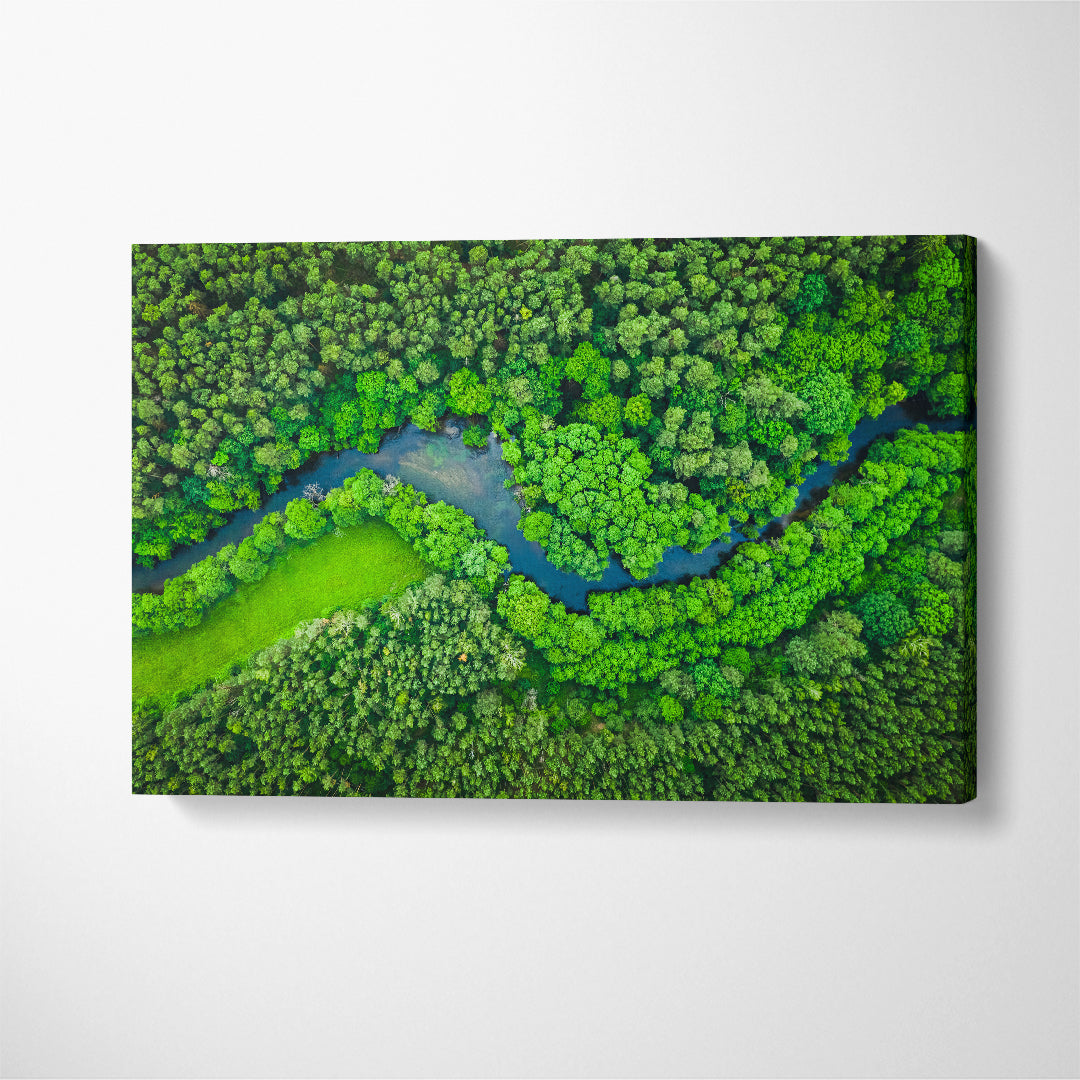 Tuchola Forest with River Canvas Print ArtLexy 1 Panel 24"x16" inches 