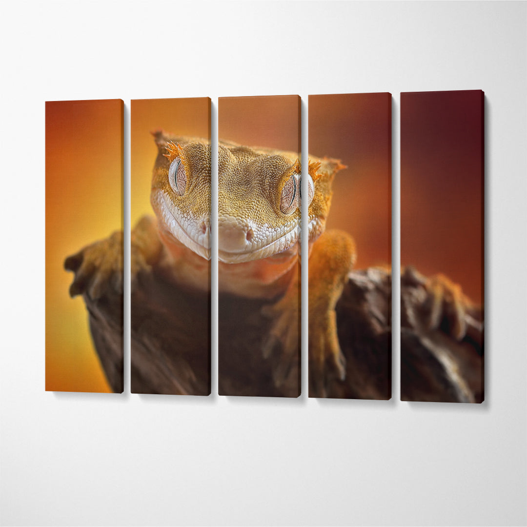 Cute Crested Gecko Canvas Print ArtLexy 5 Panels 36"x24" inches 