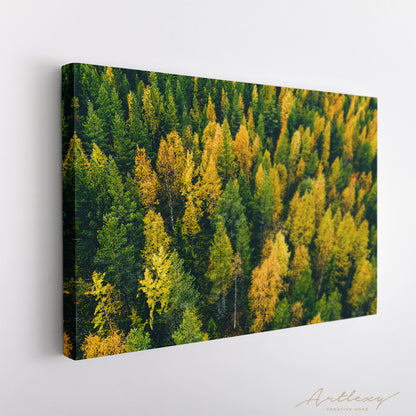 Top View of Finland Autumn Forest Canvas Print ArtLexy   
