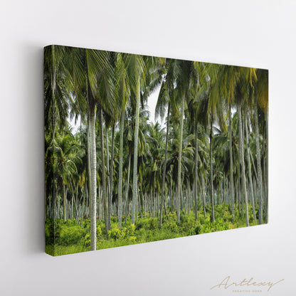 Coconut Palm Tree Plantation Canvas Print ArtLexy   