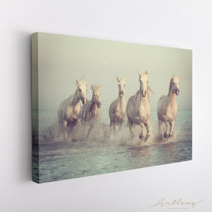 Herd of White Horses Running in Sea Canvas Print ArtLexy   