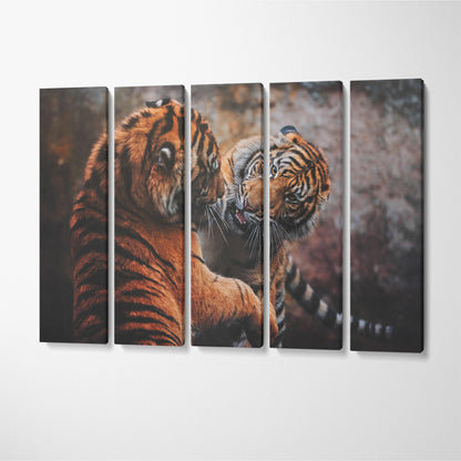 Two Sumatran Tiger Fighting Canvas Print ArtLexy 5 Panels 36"x24" inches 