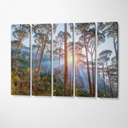 Beautiful Pine Trees Forest Landscape Canvas Print ArtLexy 5 Panels 36"x24" inches 