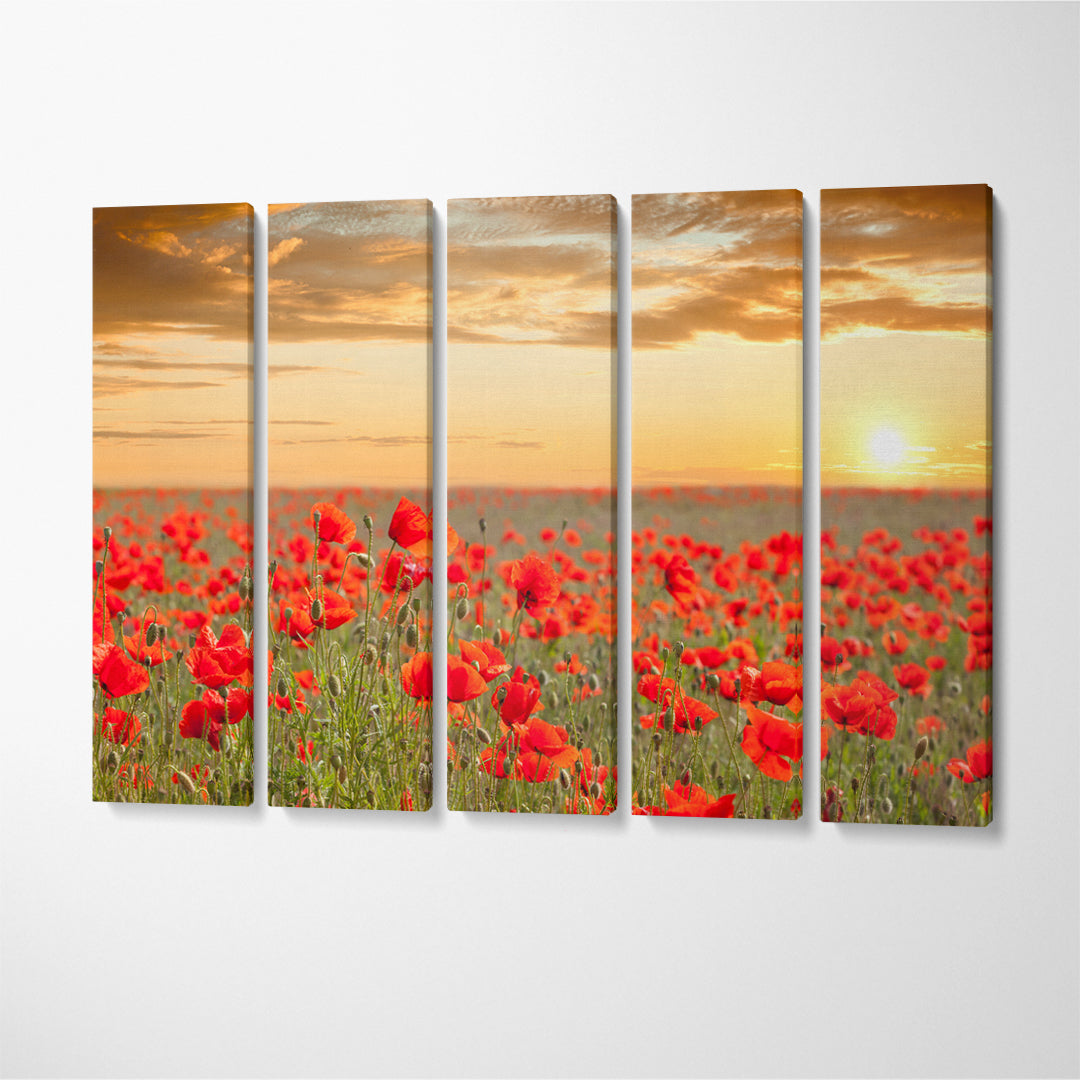 Amazing Poppy Field Landscape Canvas Print ArtLexy   