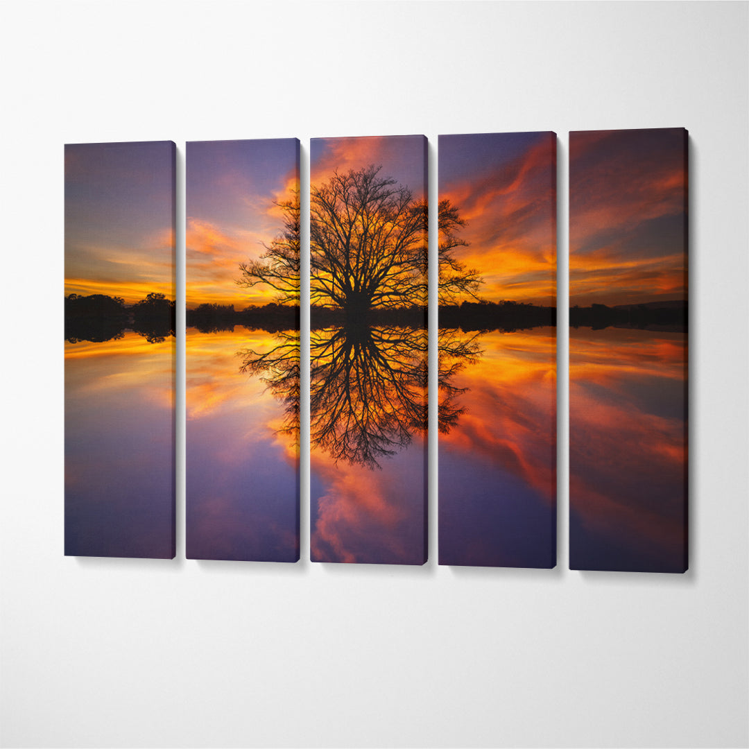 Beautiful Tree Reflected in Water at Sunset Canvas Print ArtLexy 5 Panels 36"x24" inches 
