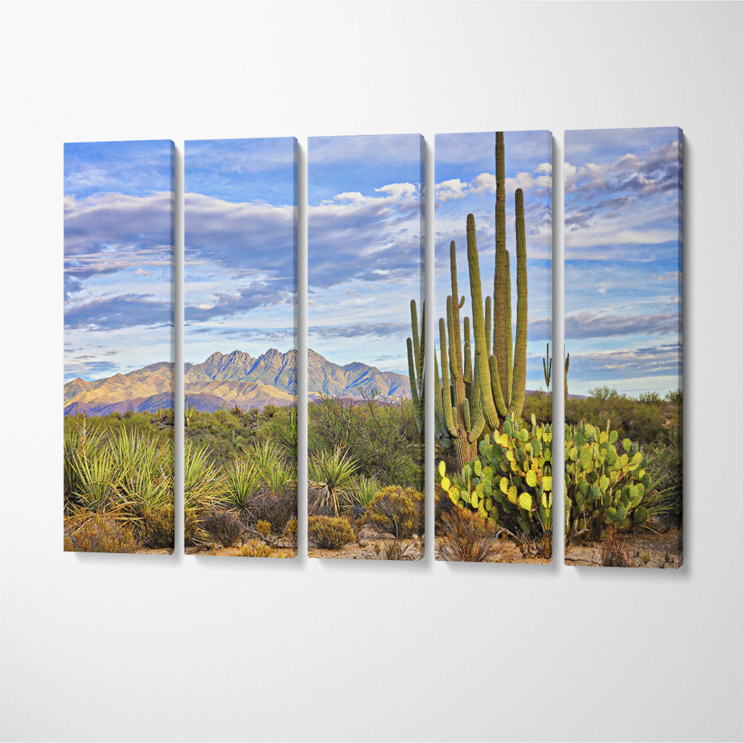 Saguaro Cactus in Phoenix Arizona Canvas Print ArtLexy 5 Panels 36"x24" inches 