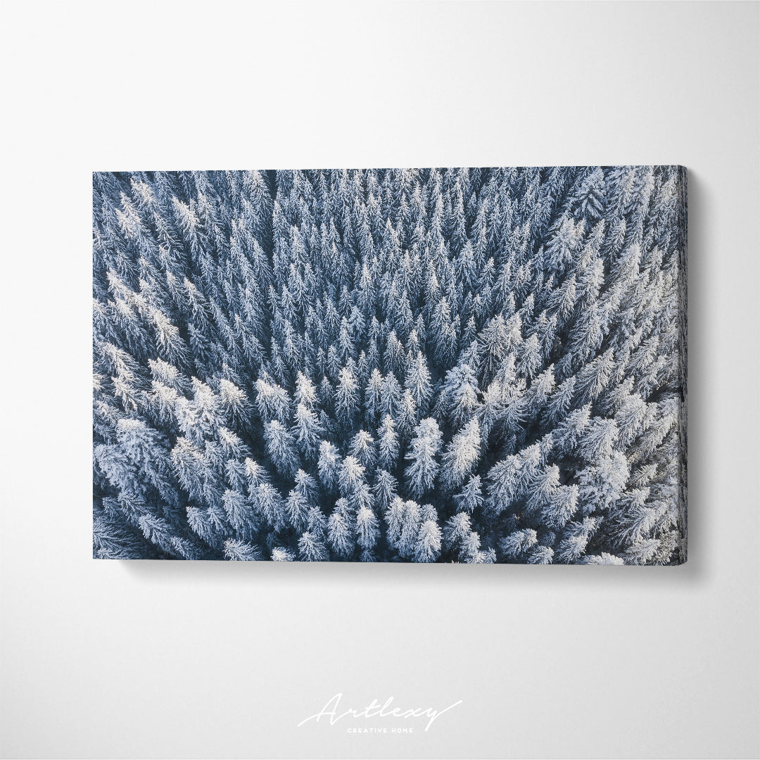 Winter Forest Canvas Print ArtLexy   