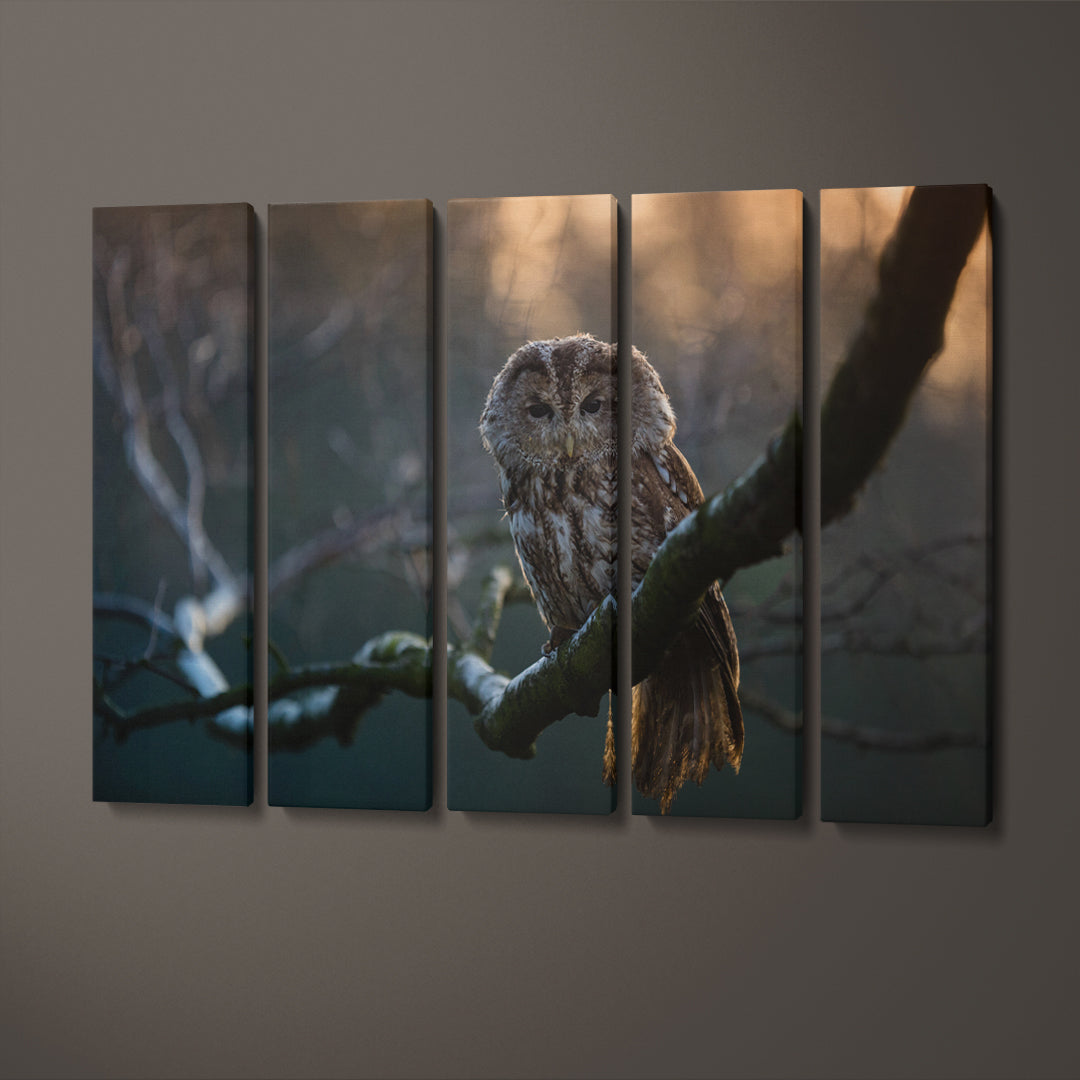 Tawny Owl Portrait Canvas Print ArtLexy 5 Panels 36"x24" inches 
