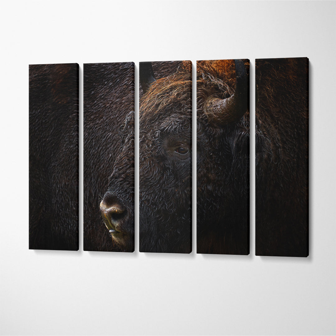 Amazing Bison Portrait Canvas Print ArtLexy 5 Panels 36"x24" inches 