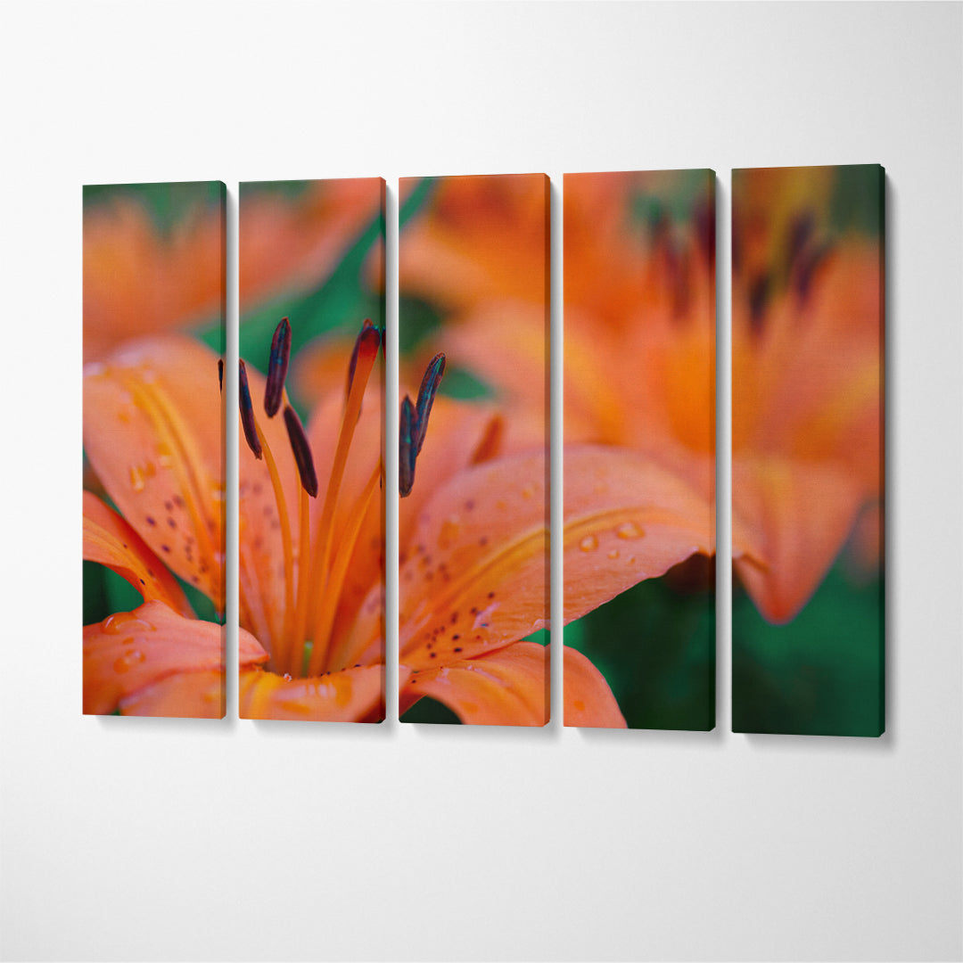Lily Flowers Canvas Print ArtLexy 5 Panels 36"x24" inches 