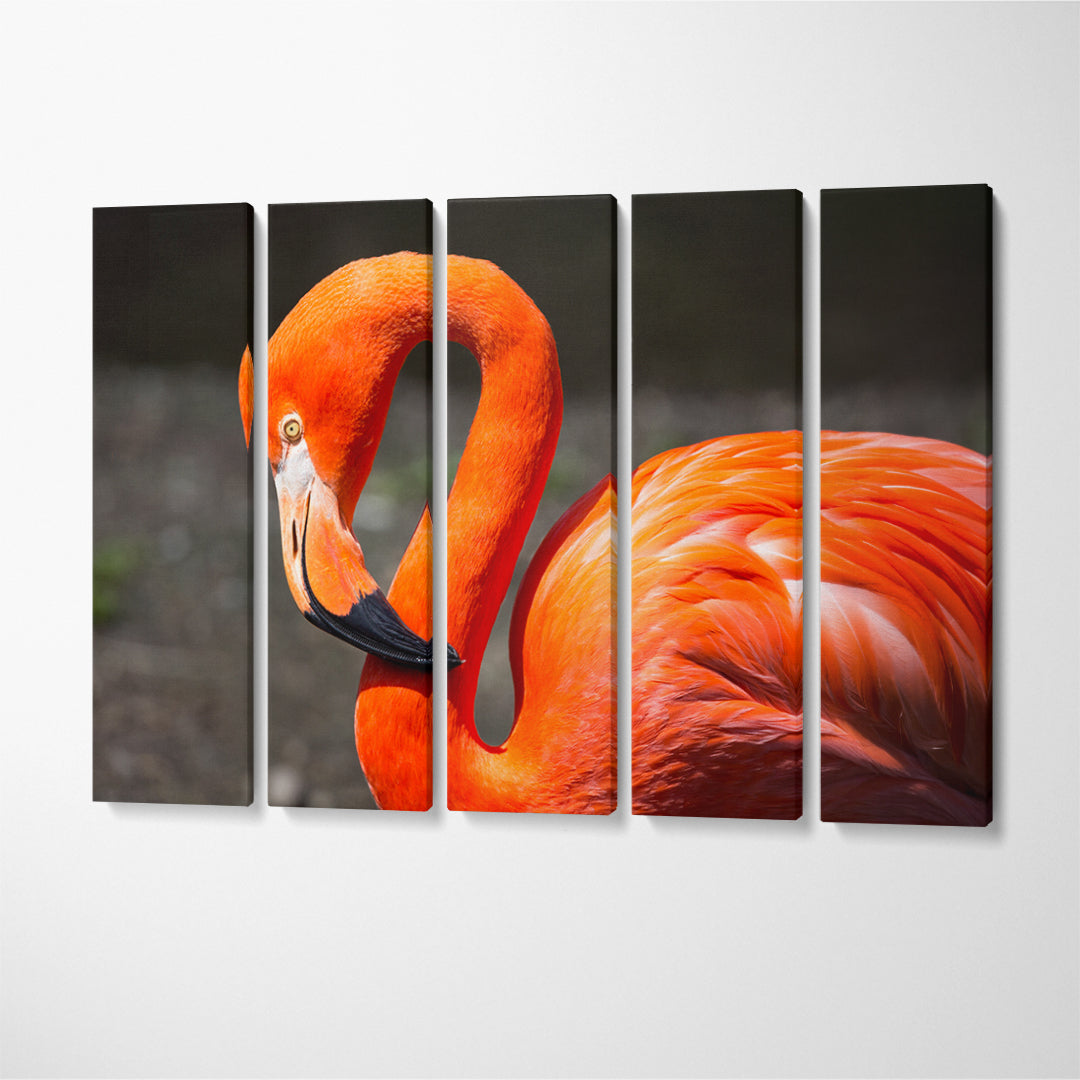 American Flamingo Canvas Print ArtLexy   