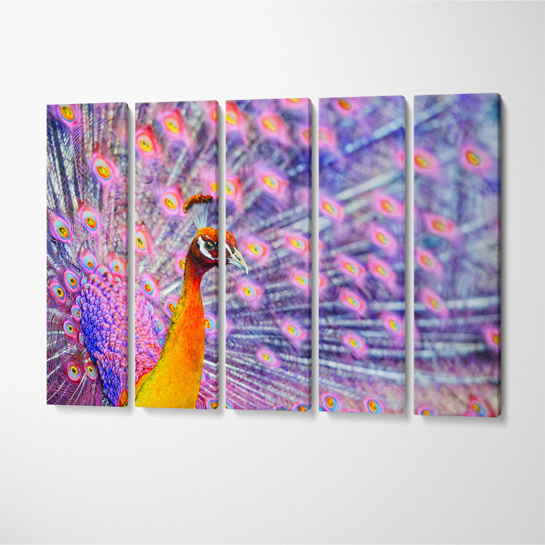 Amazing Peacock Canvas Print ArtLexy 5 Panels 36"x24" inches 
