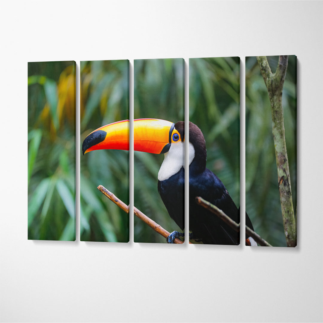 Toco Toucan in Natural Habitat Brazil Canvas Print ArtLexy 5 Panels 36"x24" inches 