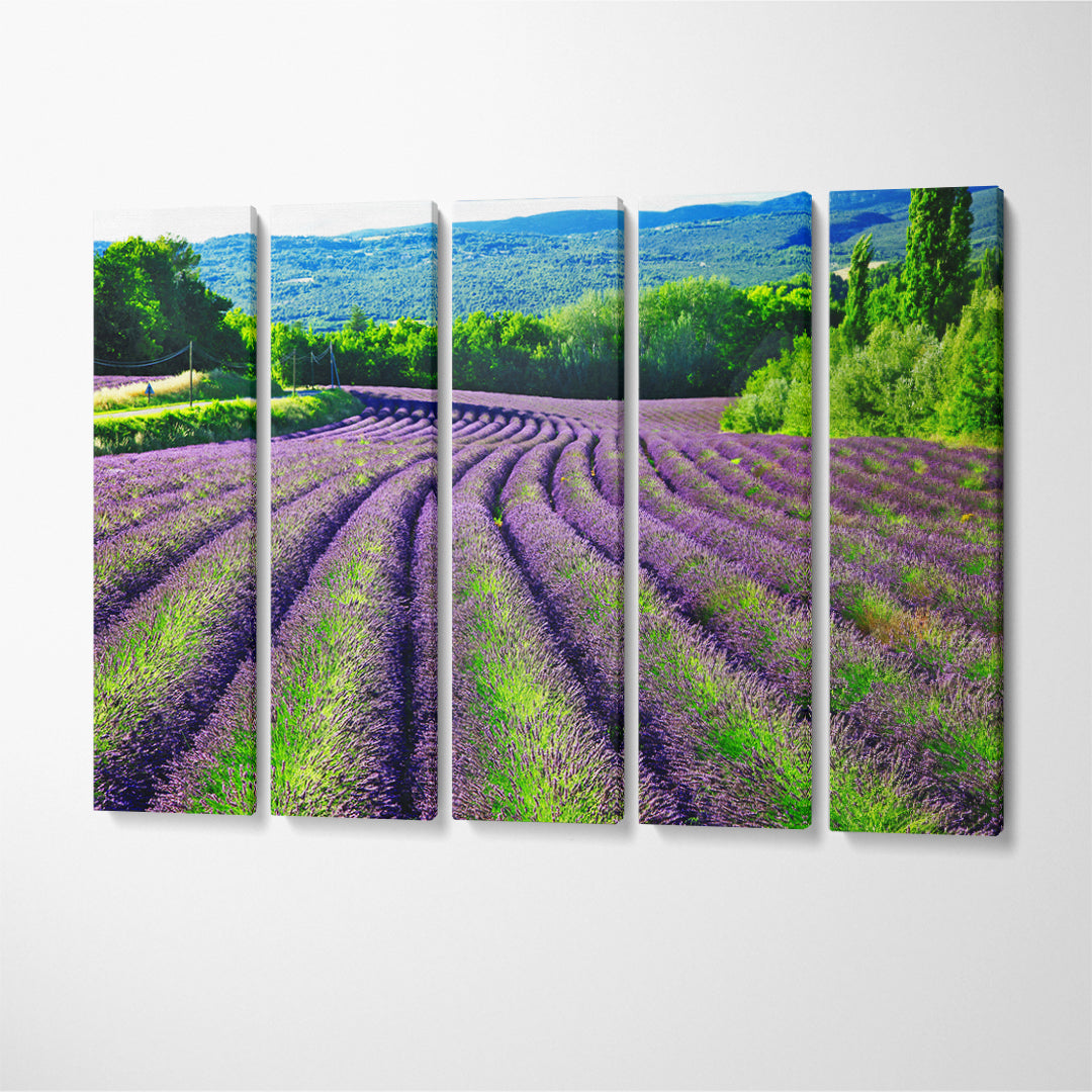 Lavender Fields in Provence France Canvas Print ArtLexy 5 Panels 36"x24" inches 