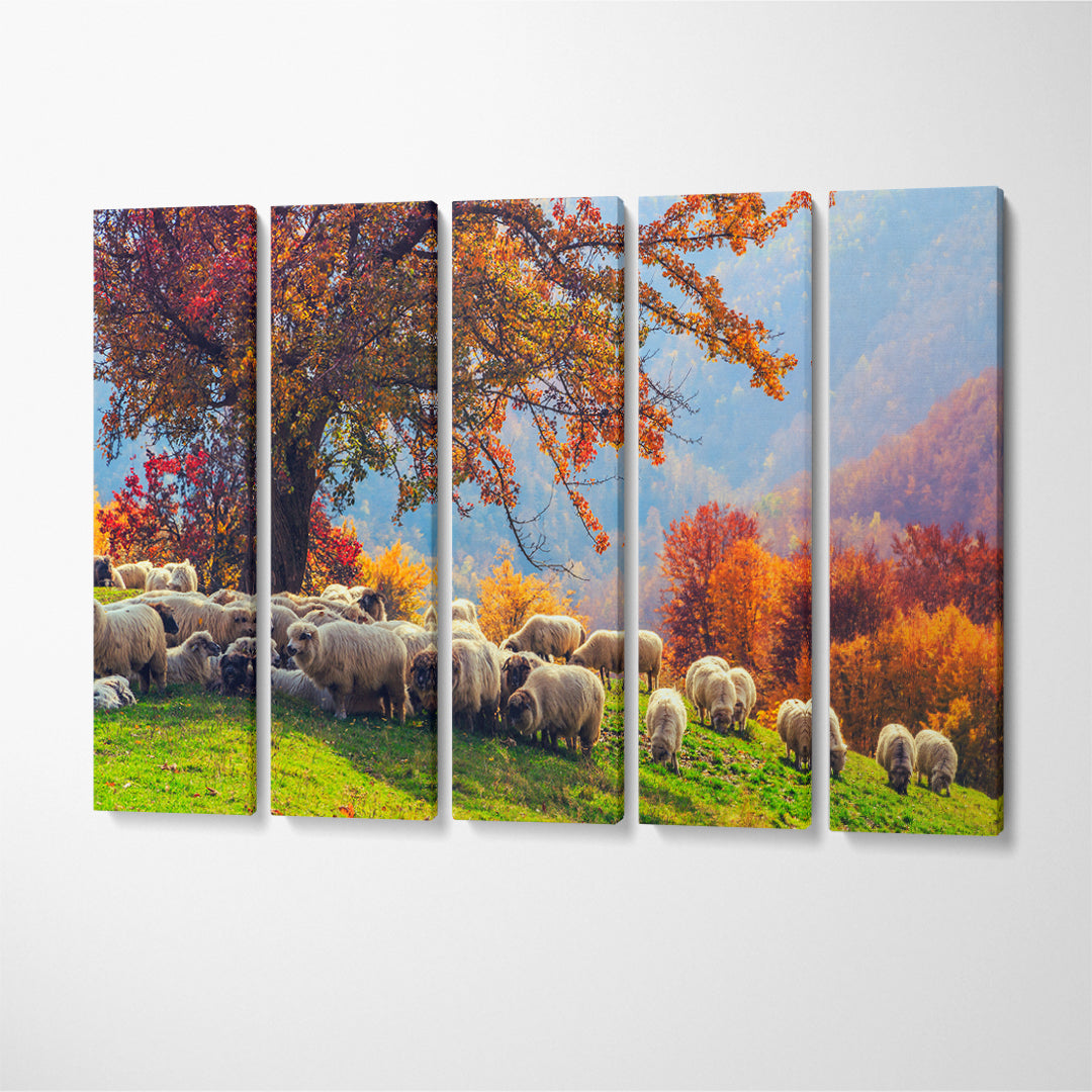 Sheep in Romanian Carpathians Canvas Print ArtLexy 5 Panels 36"x24" inches 