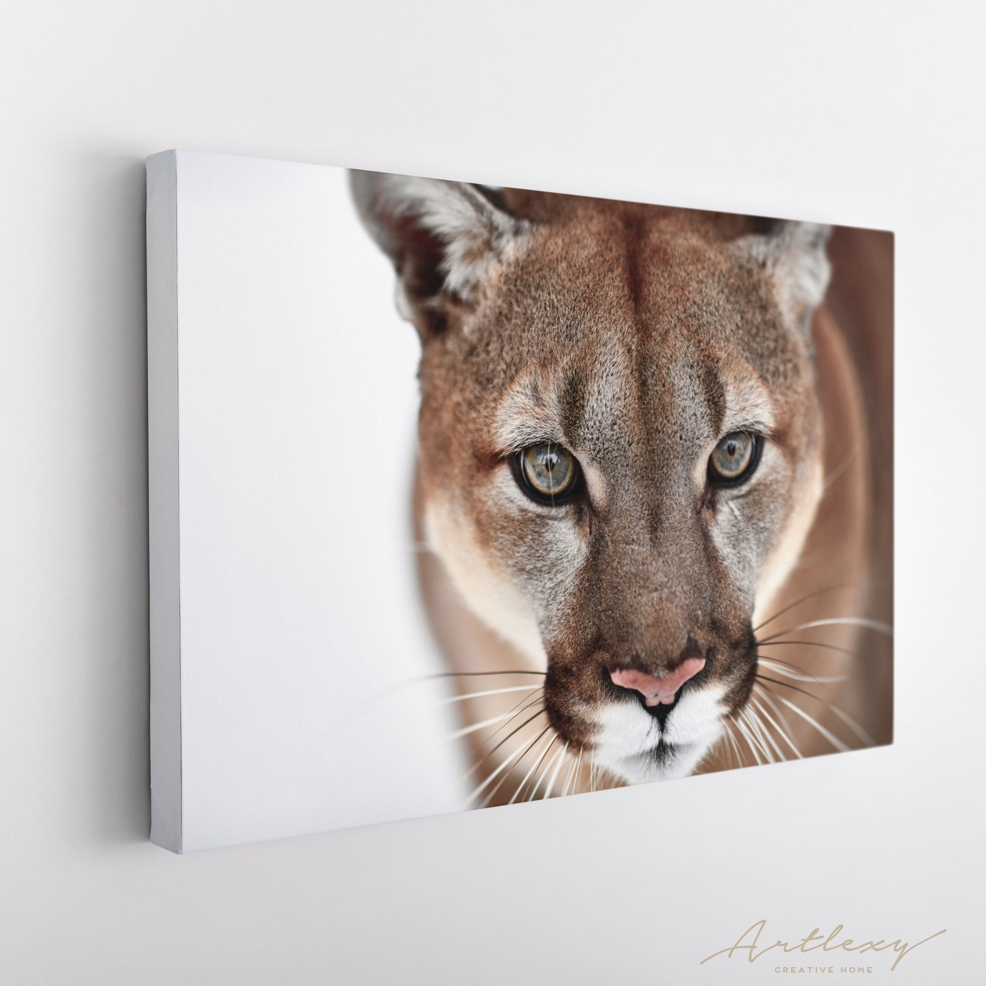 Beautiful Puma Portrait Canvas Print ArtLexy   