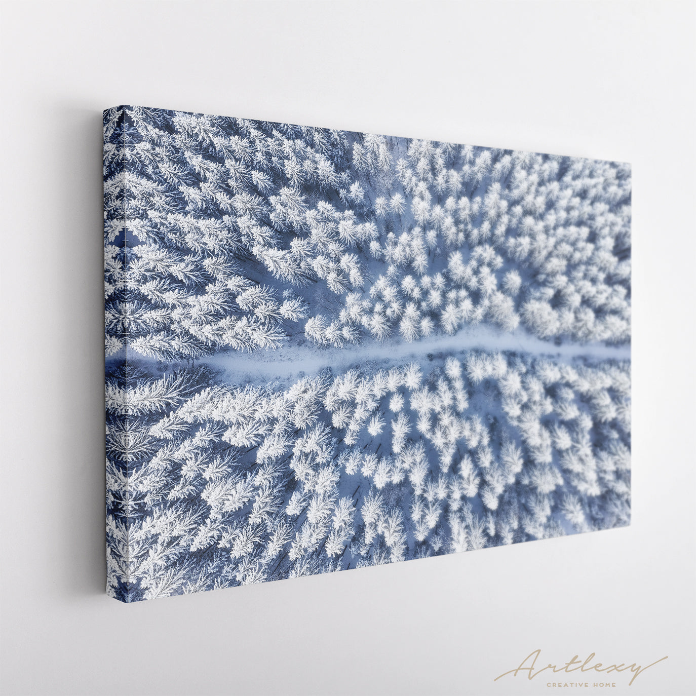 Top View Beautiful Winter Forest Canvas Print ArtLexy   